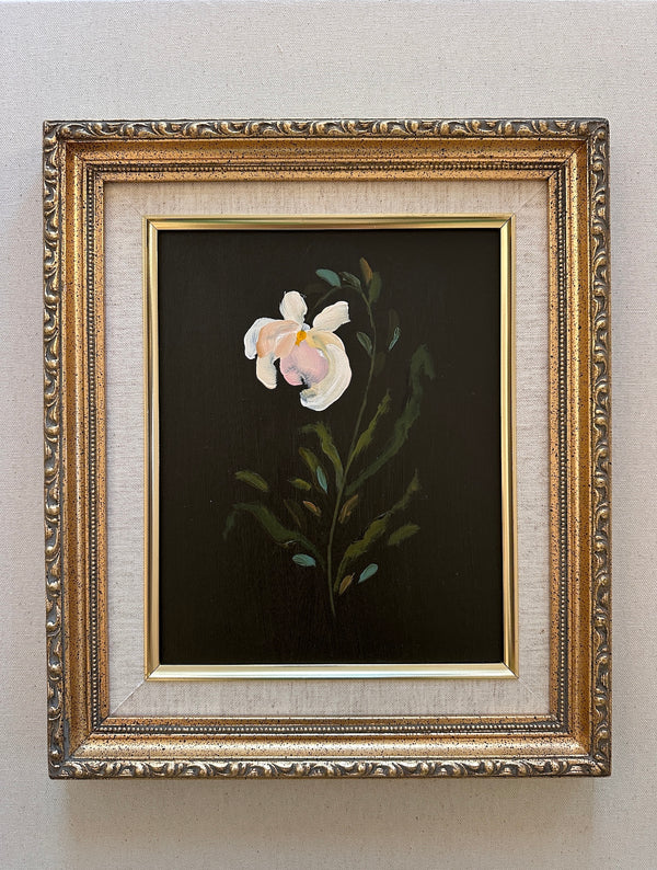 Wild and Precious No.54