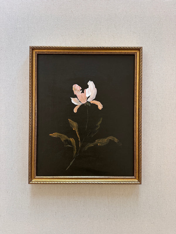 Wild and Precious No.51