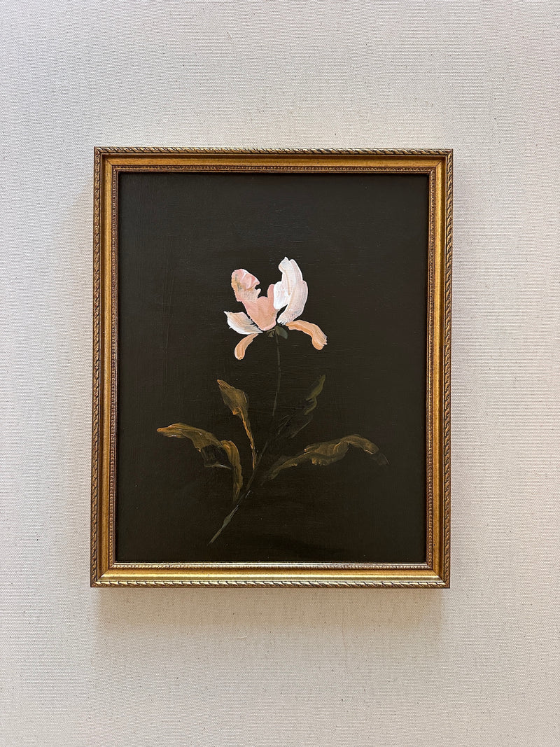 Wild and Precious No.51