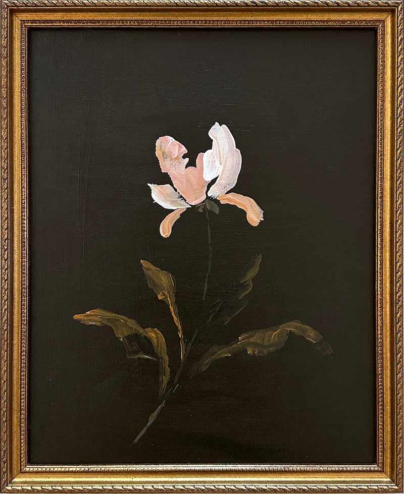 Wild and Precious No.51