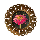 Zinnia