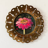 Zinnia
