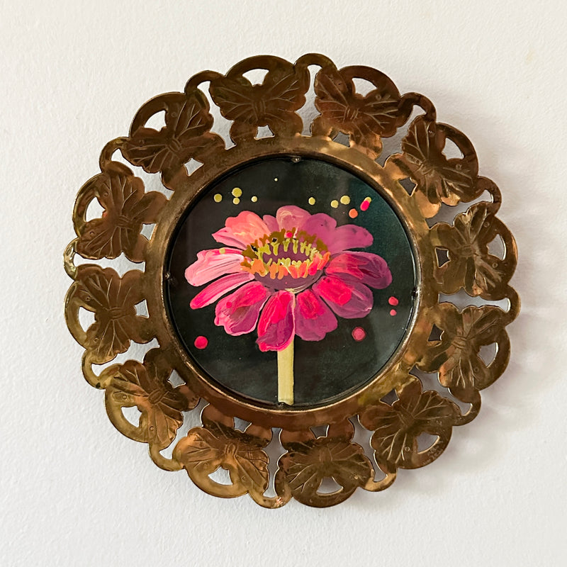 Zinnia