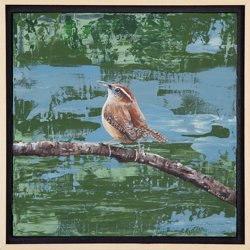 Blue and Green Carolina Wren