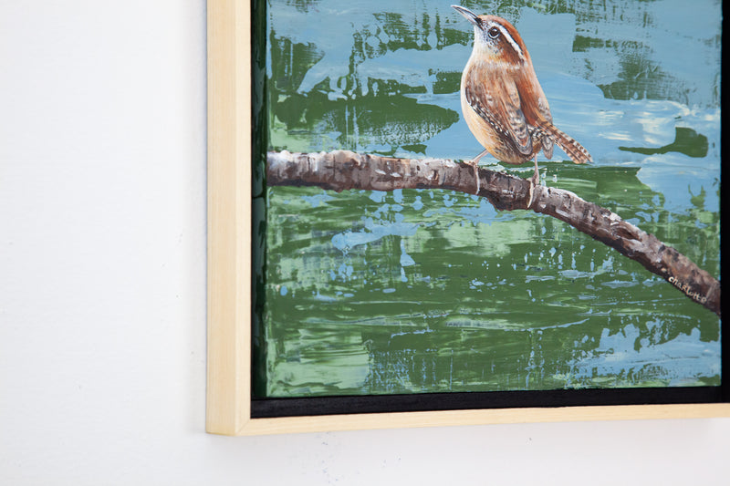 Blue and Green Carolina Wren