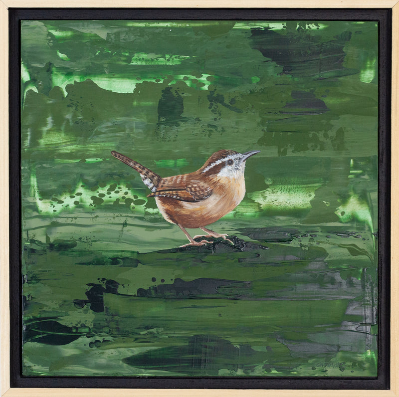 Green Carolina Wren