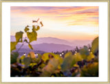 Italian Sunset