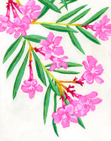 Oleander Print