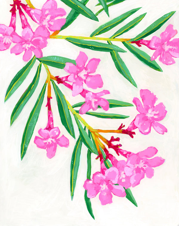 Oleander Print