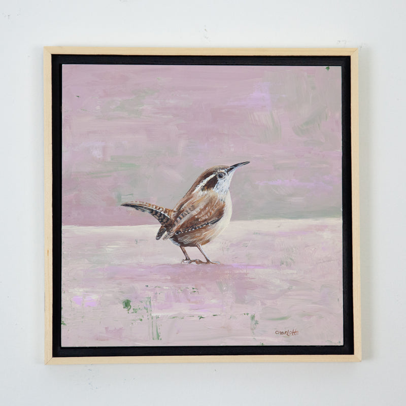 Pink Carolina Wren