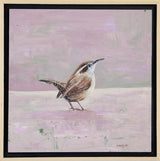 Pink Carolina Wren