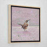 Pink Carolina Wren