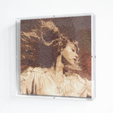 Taylor Swift, Fearless