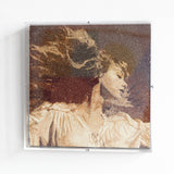 Taylor Swift, Fearless