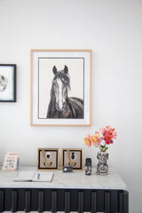 Shadowfax