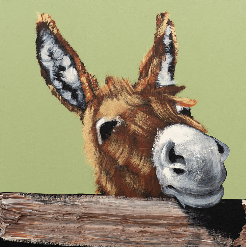 Donkey on Fence
