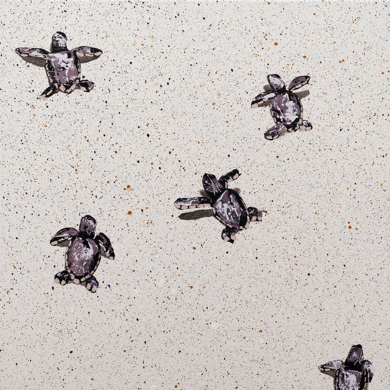 Five Mauve Sea Turtles on Pop Tart
