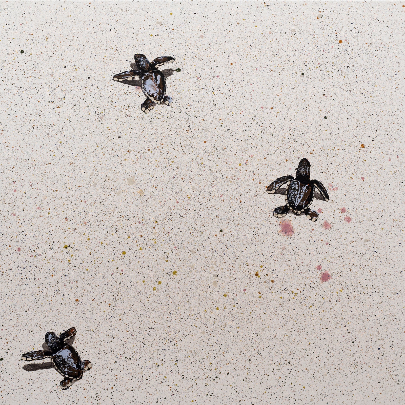 Three Blue Sea Turtles on Pop Tart | Josh Brown – The Miller Gallery