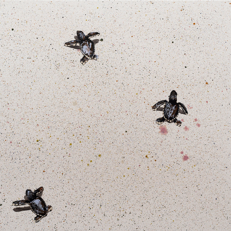 Three Blue Sea Turtles on Pop Tart