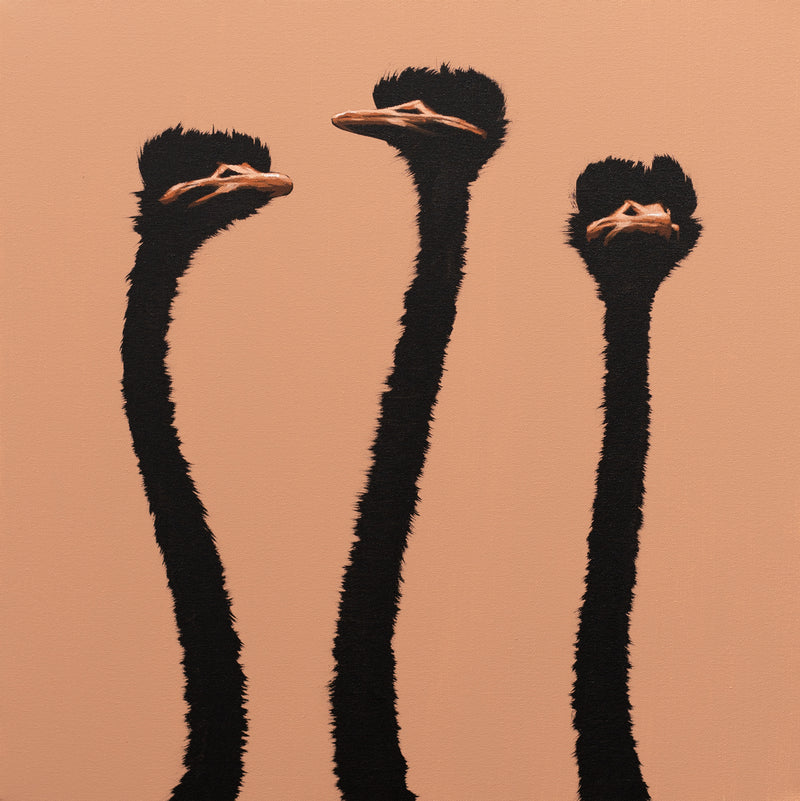 Three Ostriches on Terracotta
