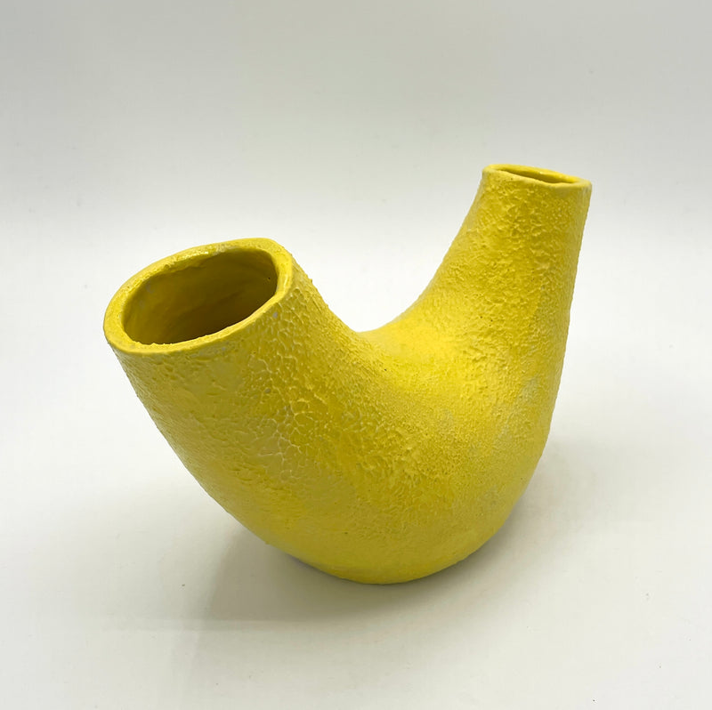 Double Yellow Vase I